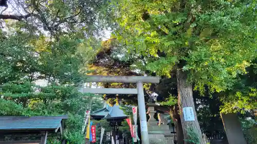 上高田氷川神社のその他建物