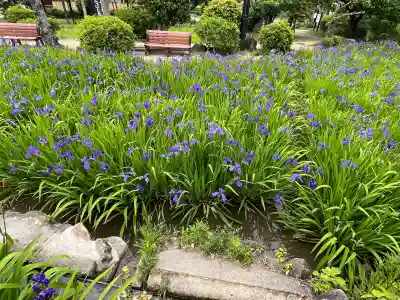 無量寿寺(愛知県)