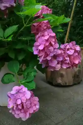 東京大神宮のその他建物