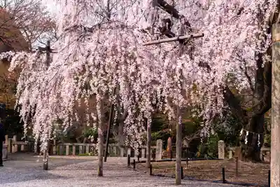 大石神社(京都府)