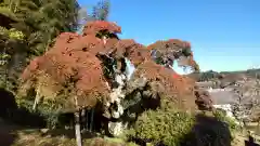 四倉諏訪神社の周辺