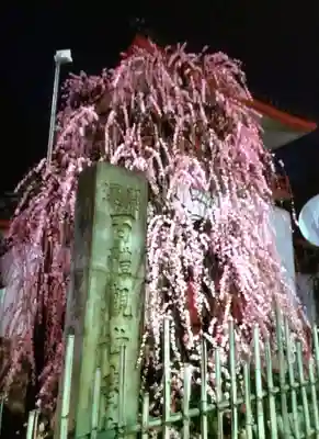 成願寺(東京都)