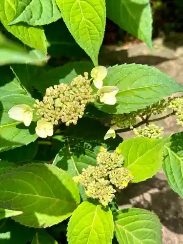 霊源院(京都府)