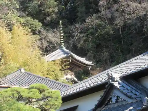 本蓮寺の塔