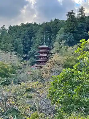 長谷寺(奈良県)