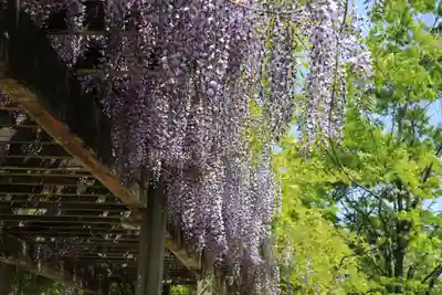 滑川神社 - 仕事と子どもの守り神の周辺