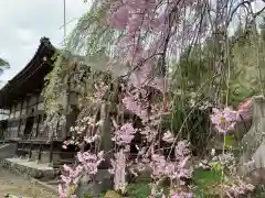 清雲寺の自然