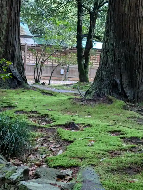 氣多大社の{uncategorized: "未分類", other: "その他", undefined: "問題あり", building: "その他建物", grave: "お墓", sacred_gate: "鳥居", guardian: "狛犬", statue: "像", buddha: "仏像", history: "歴史", nature: "自然", garden: "庭園", animal: "動物", pagoda: "塔", temizu: "手水舎", mountain_gate: "山門・神門", sanctuary: "本殿・本堂", subordinate: "末社・摂社", art: "芸術", scenery: "景色", jizo: "地蔵", ema: "絵馬", goshuin: "御朱印", omikuji: "おみくじ", items: "授与品その他", amulet: "お守り", goshuincho: "御朱印帳", eats: "食事", festival: "お祭り", votive_dance: "神楽", shichigosan: "七五三参", wedding: "結婚式", experience: "体験その他", initially: "初詣", around: "周辺", anti_infection: "感染症対策"}
