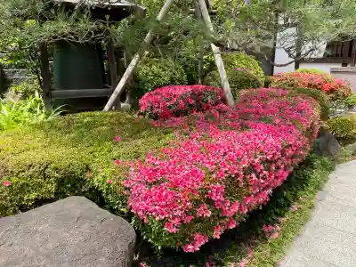 正覚寺(東京都)