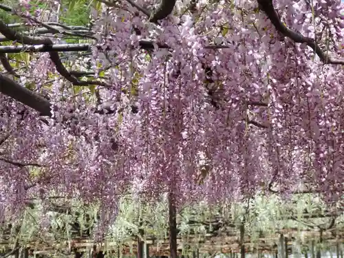 長泉寺の景色