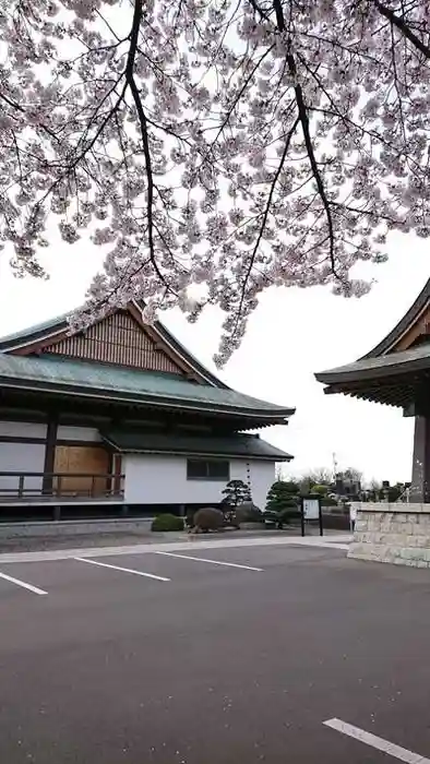 政淳寺の本殿