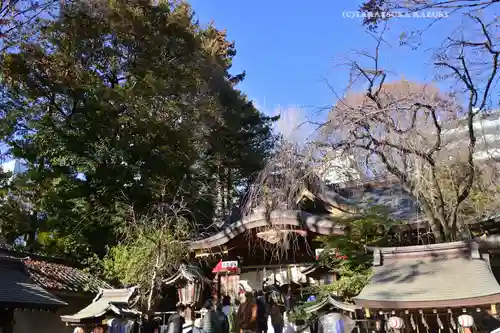 子安神社(東京都)