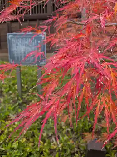 妙法寺(東京都)