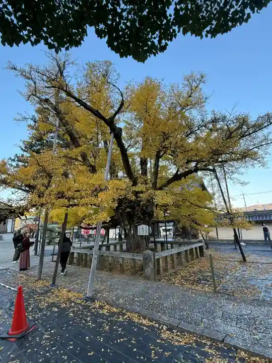 誕生寺(岡山県)