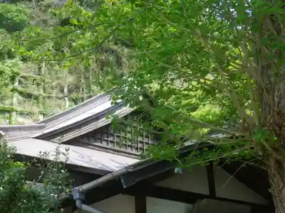 別願寺のその他建物