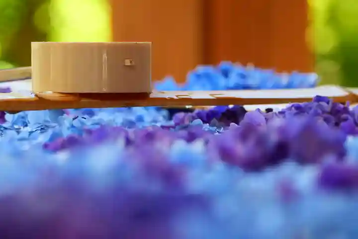 土津神社|こどもと出世の神さまの手水舎