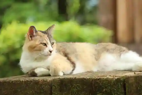 玉野御嶽神社(愛知県)