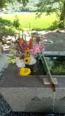 高司神社〜むすびの神の鎮まる社〜の手水舎