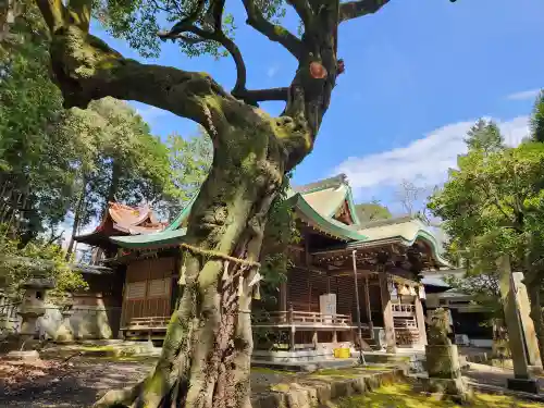 中臣印達神社(兵庫県)