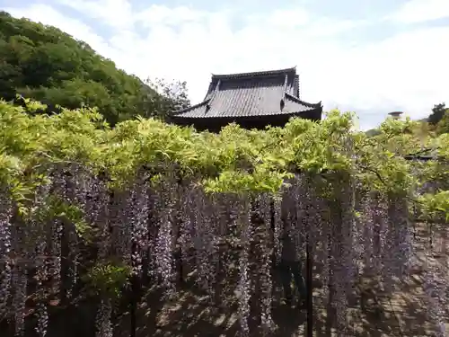 長泉寺の庭園