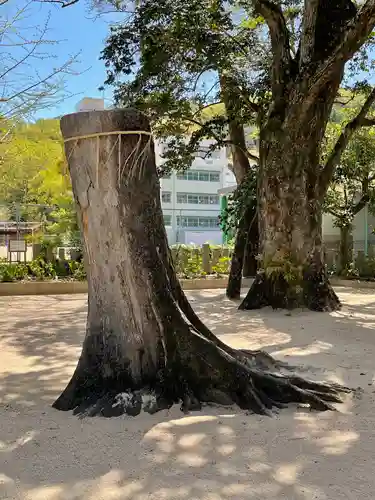 生瀬皇太神社の自然