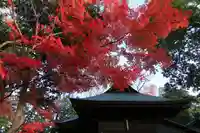 國祖神社の本殿・本堂