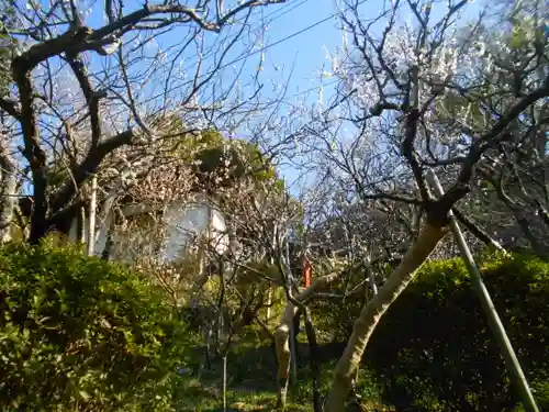 荏柄天神社の自然