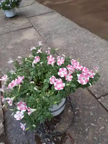 伏木香取神社の自然