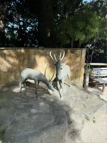 志賀海神社(福岡県)