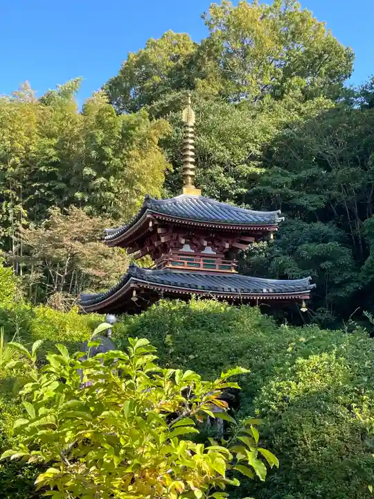 平等寺(三輪山平等寺)(奈良県)