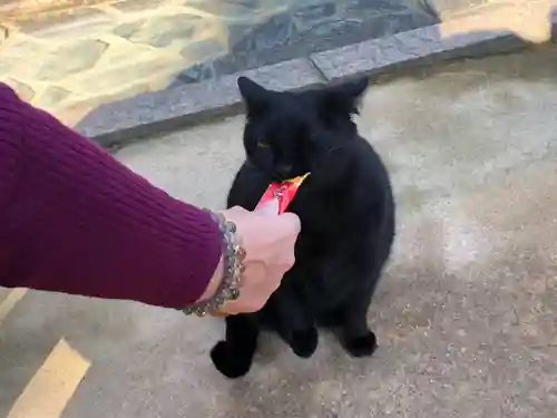 王子神社の動物