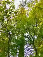 大鷲神社の自然