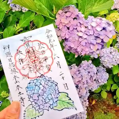 ハートの紫陽花と紫陽花の御朱印
