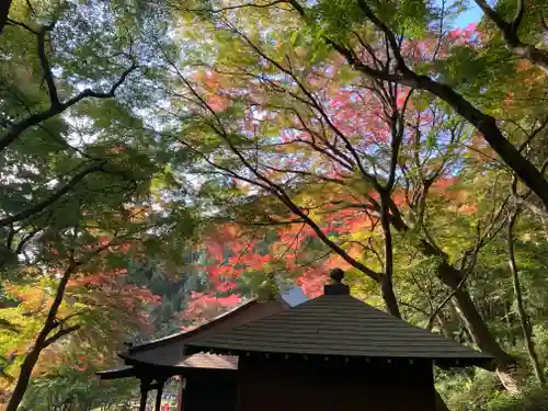 普門寺(切り絵御朱印発祥の寺)(愛知県)