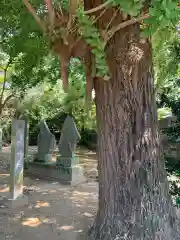 熊野神社(千葉県)