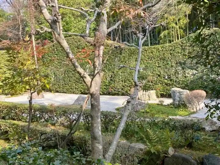 大心院(京都府)