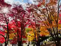 土津神社|こどもと出世の神さまの景色