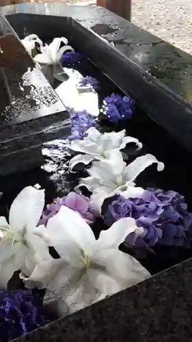 新琴似神社の手水舎