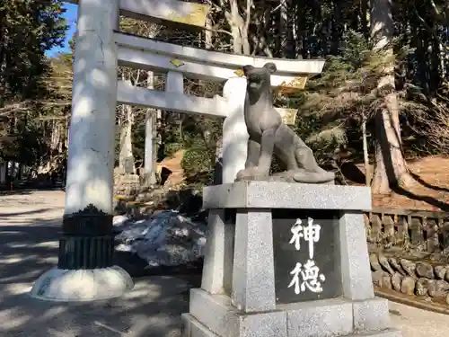 三峯神社の狛犬