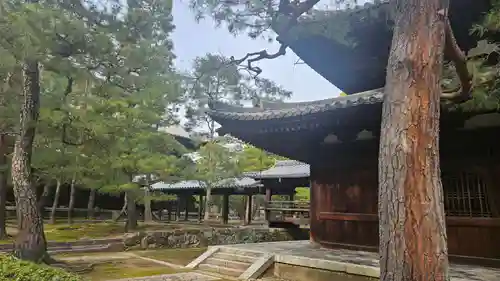 大徳寺(京都府)