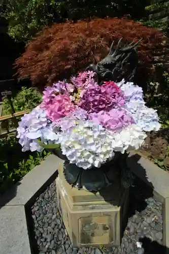 成就院の手水舎