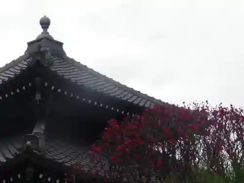 本覚寺のその他建物