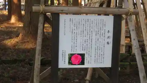 法音寺の歴史