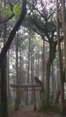 嬪野神社の建物その他