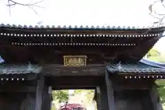 神咒寺の山門