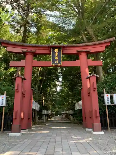 彌彦神社の鳥居