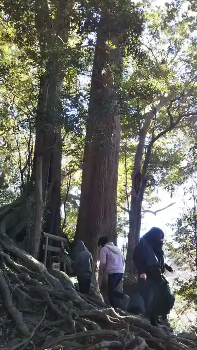 事任八幡宮の自然