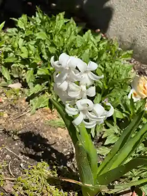 阿邪訶根神社の{uncategorized: "未分類", other: "その他", undefined: "問題あり", building: "その他建物", grave: "お墓", sacred_gate: "鳥居", guardian: "狛犬", statue: "像", buddha: "仏像", history: "歴史", nature: "自然", garden: "庭園", animal: "動物", pagoda: "塔", temizu: "手水舎", mountain_gate: "山門・神門", sanctuary: "本殿・本堂", subordinate: "末社・摂社", art: "芸術", scenery: "景色", jizo: "地蔵", ema: "絵馬", goshuin: "御朱印", omikuji: "おみくじ", items: "授与品その他", amulet: "お守り", goshuincho: "御朱印帳", eats: "食事", festival: "お祭り", votive_dance: "神楽", shichigosan: "七五三参", wedding: "結婚式", experience: "体験その他", initially: "初詣", around: "周辺", anti_infection: "感染症対策"}