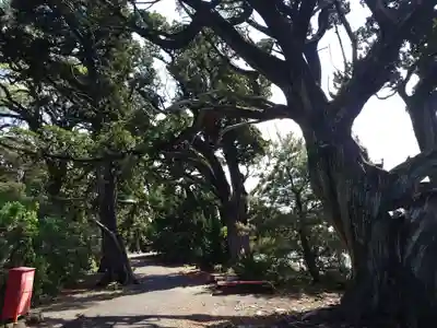 大瀬神社(静岡県)