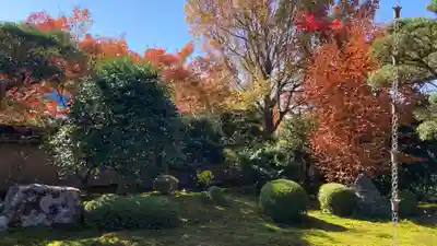 天得院(京都府)